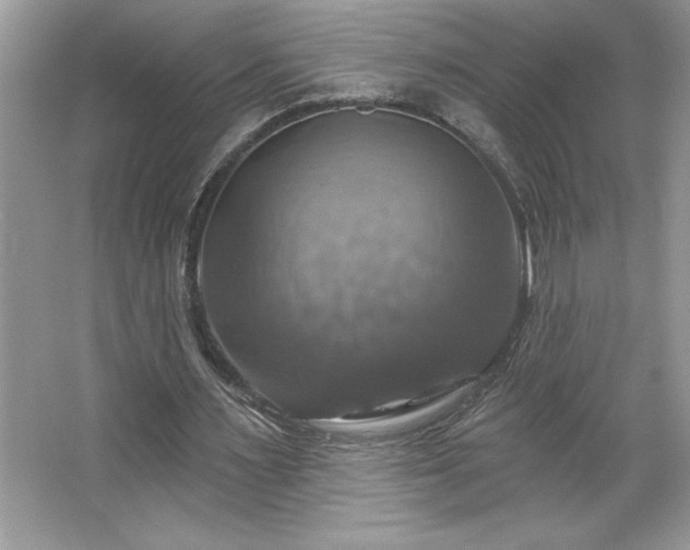 X0000067350483200604071429