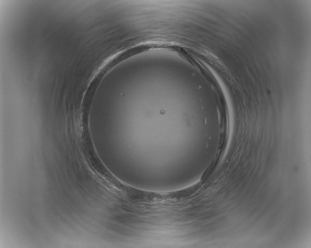 X0000067350484200604071429