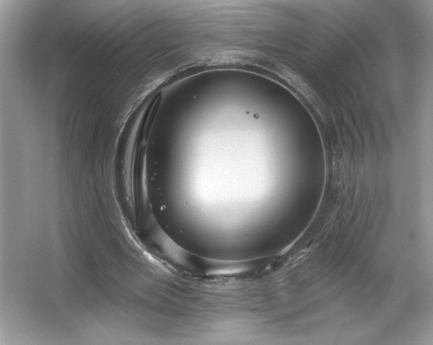 X0000067350485200604071429