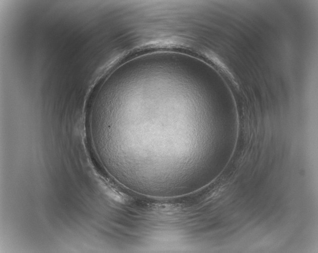 X0000067350486200604071429