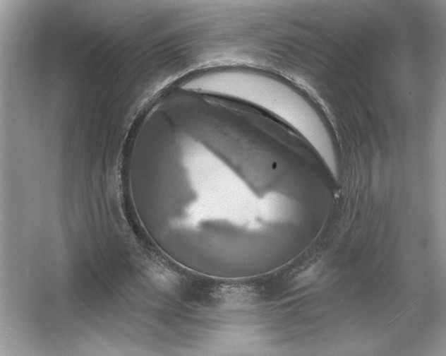 X0000067350487200604071429