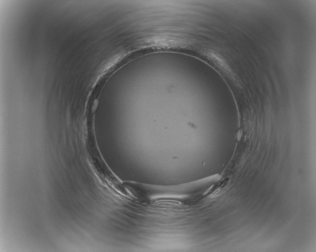 X0000067350488200604071429