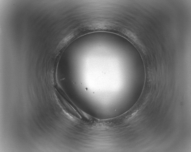 X0000067350489200604071429