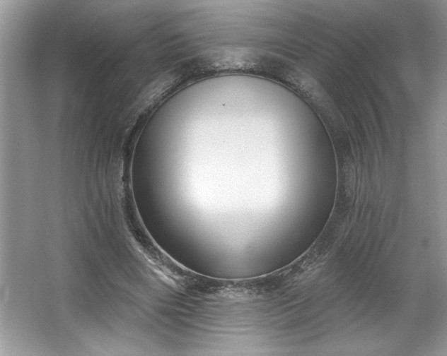 X0000067350490200604071429