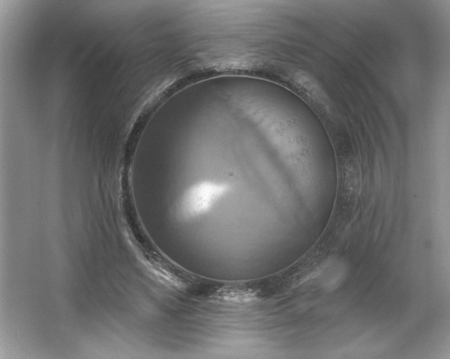 X0000067350491200604071429