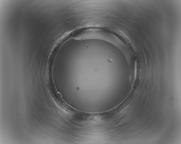 X0000067350492200604071429