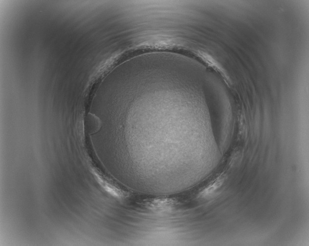 X0000067350493200604071429