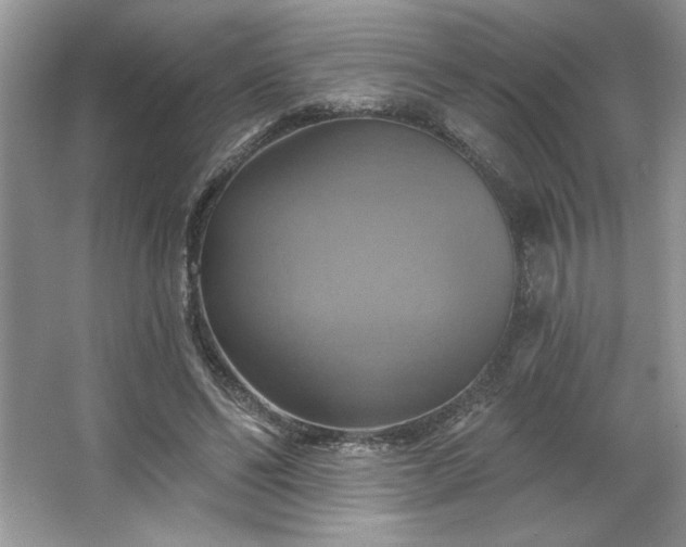 X0000067350494200604071429