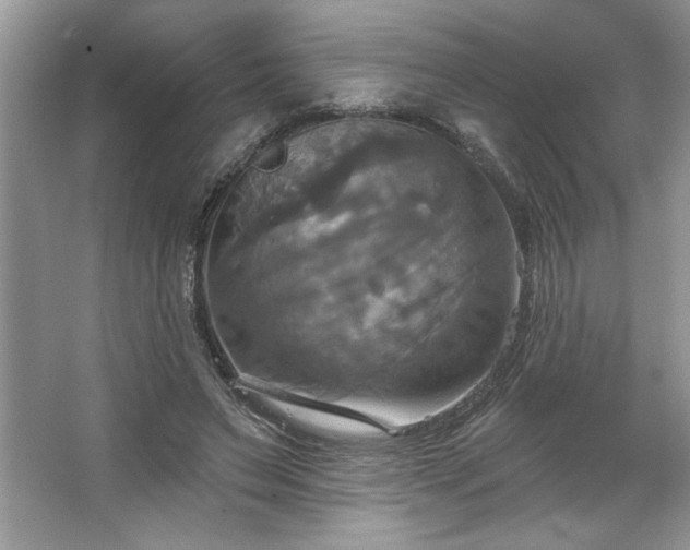 X0000067350495200604071429