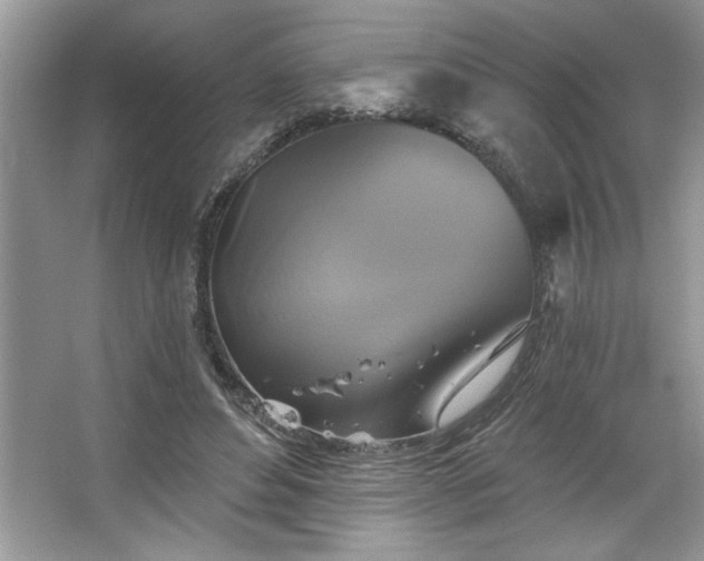 X0000067350496200604071429