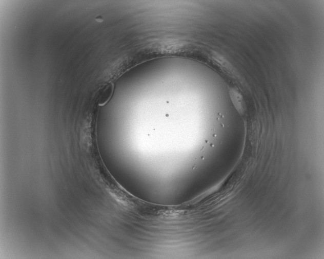 X0000067350497200604071429