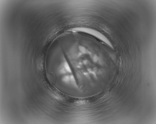 X0000067350499200604071429