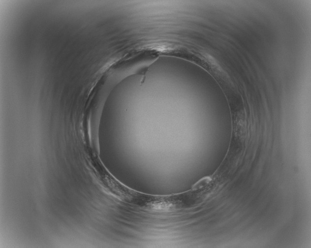 X0000067350500200604071429