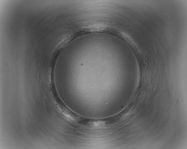 X0000067350501200604071429