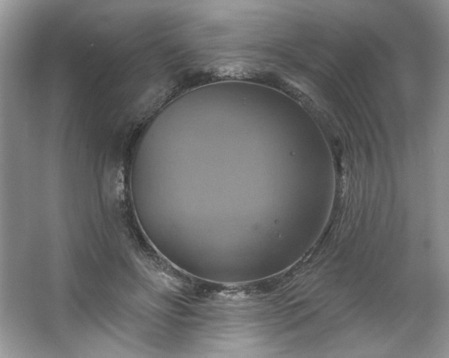 X0000067350502200604071429