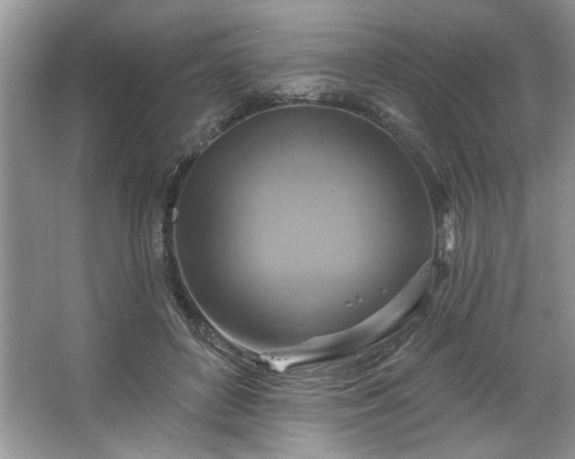 X0000067350504200604071429