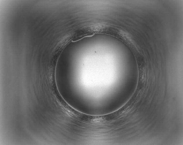 X0000067350505200604071429