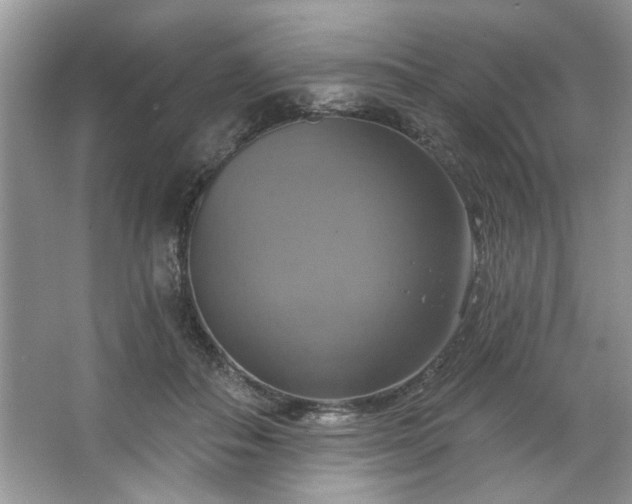 X0000067350506200604071429