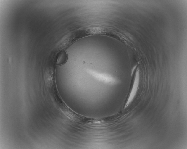 X0000067350507200604071429