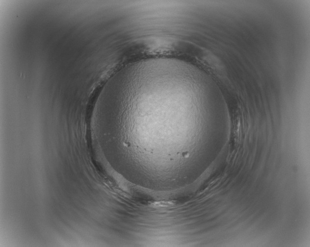 X0000067350508200604071429