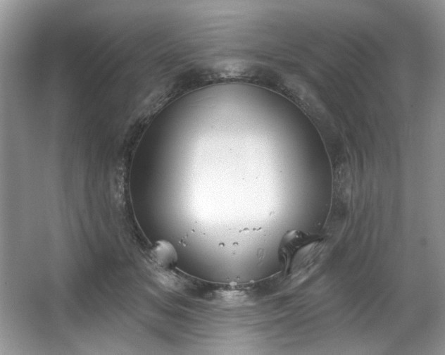 X0000067350509200604071429