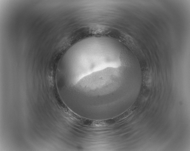 X0000067350510200604071429