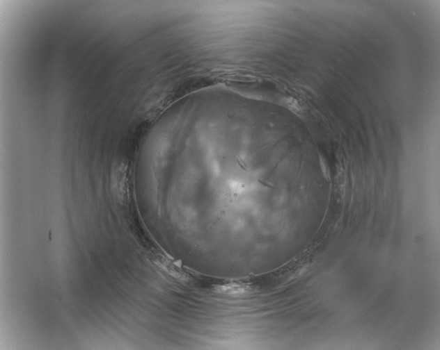 X0000067350511200604071429