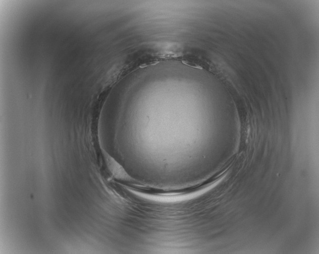 X0000067350512200604071429