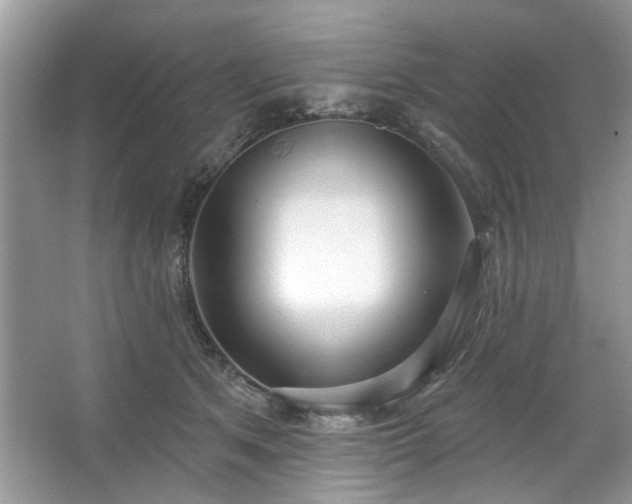 X0000067350513200604071429