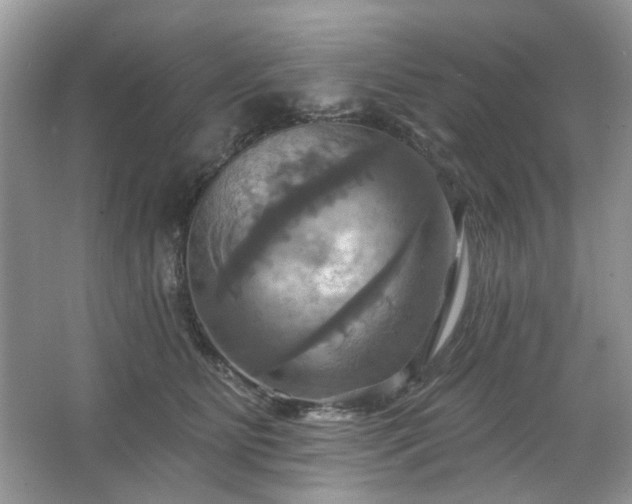 X0000067350515200604071429