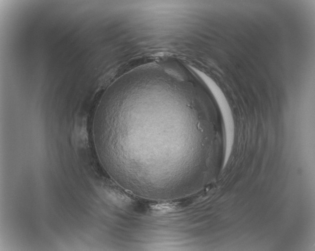 X0000067350516200604071429