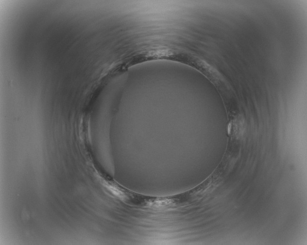 X0000067350517200604071429