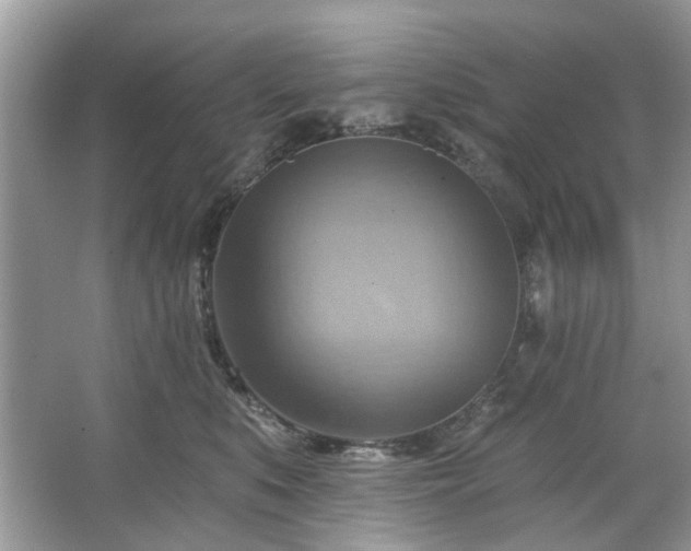 X0000067350519200604071429