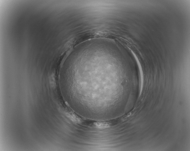 X0000067350520200604071429