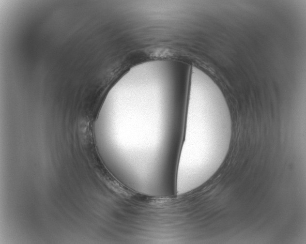 X0000067350521200604071429