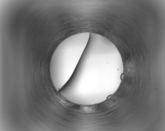 X0000067350522200604071429