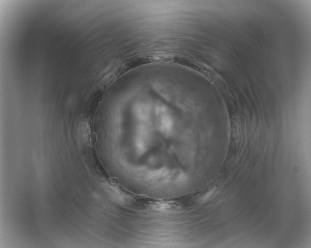 X0000067350523200604071429