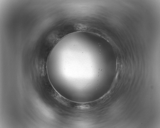 X0000067350525200604071429