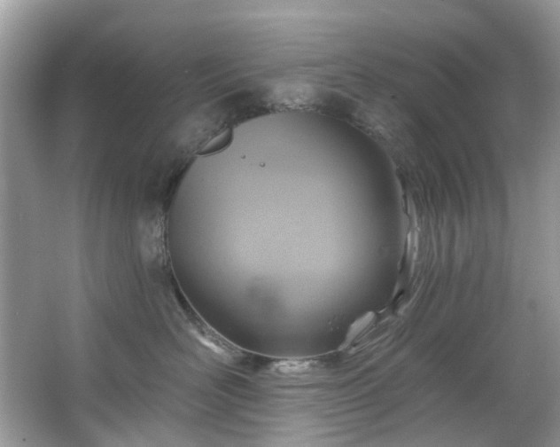 X0000067350526200604071429