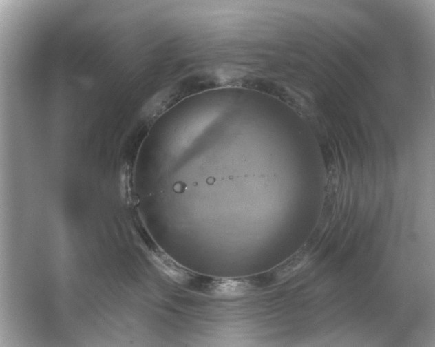 X0000067350527200604071429