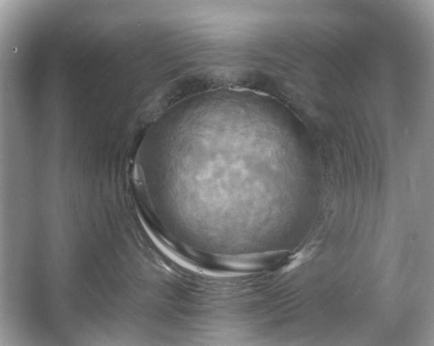 X0000067350528200604071429