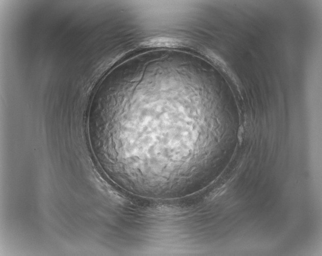 X0000067350529200604071428