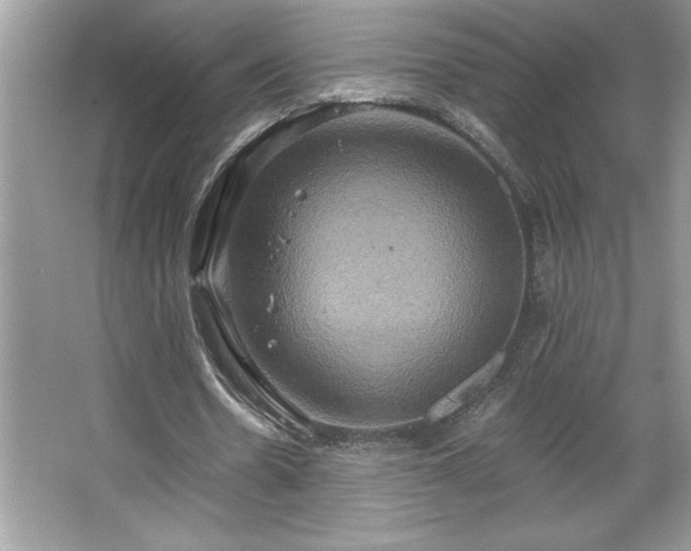 X0000067350530200604071428