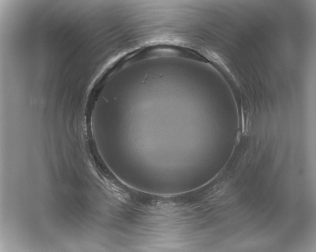 X0000067350531200604071428