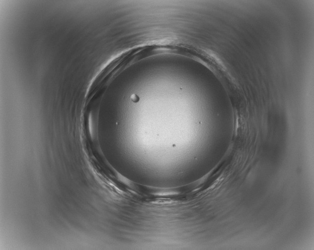 X0000067350532200604071428