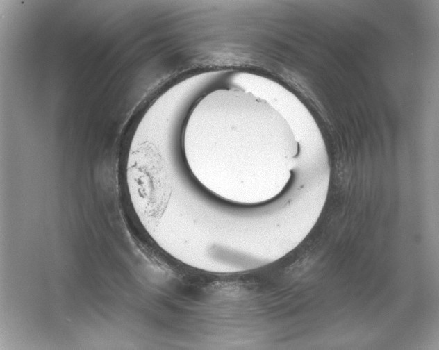 X0000067350534200604071428