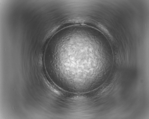 X0000067350537200604071428