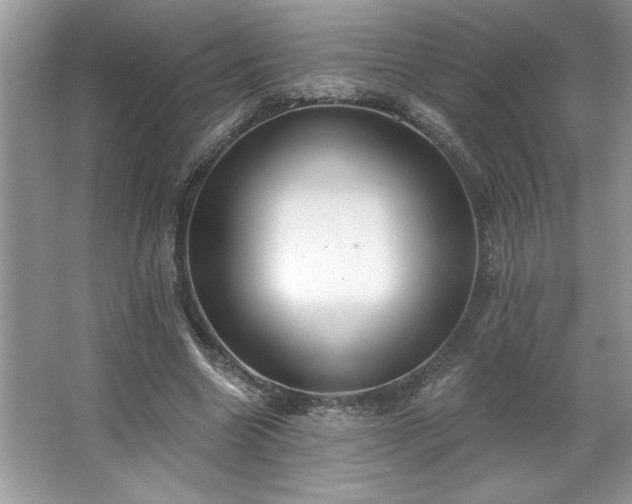 X0000067350538200604071428