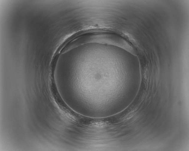 X0000067350540200604071428