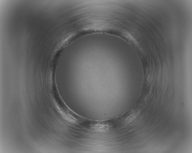 X0000067350542200604071428